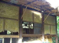 The Malaysian Hut, The Eden Project, Bodelva, Cornwall Wallpaper