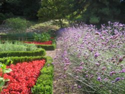 Flower garden at Tyntesfield, Wraxall, Somerset Wallpaper