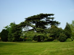 Osborne House, Osborne, Isle of Wight Wallpaper