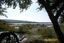 Abbotsbury Swannery, Abbotsbury, Dorset Wallpaper