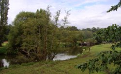 River and Canal, Sprotbrough, South Yorkshire Wallpaper