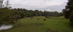 River and Canal, Sprotbrough, South Yorkshire Wallpaper