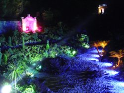 Enchanted Garden the Fern Dell at Brodsworth Hall, Brodsworth, South Yorkshire Wallpaper