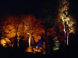 Enchanted Garden the Woodland garden at Brodsworth Hall, Brodsworth, South Yorkshire Wallpaper