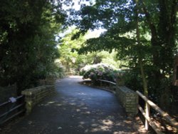 Newquay Zoo, Cornwall Wallpaper