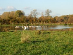 Wanlip Meadows, Leicestershire Wallpaper