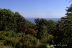 View from The Monkey Sanctuary, Looe, Cornwall Wallpaper