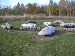 Brodsworth Community Woodland sculpture, South Yorkshire Wallpaper