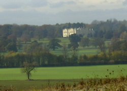 Brodsworth Community Woodland - view of Brodsworth Hall Wallpaper