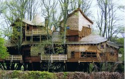 Tree House, Alnwick Gardens, Northumberland Wallpaper