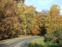 Autumn near Newtown Linford, Leicestershire Wallpaper