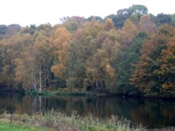 Staunton Harold Reservoir, Leicestershire Wallpaper