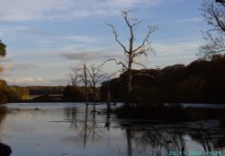 The View, Clumber Country Park, Worksop, Nottinghamshire Wallpaper