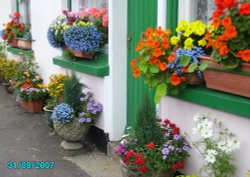 Wonderful flower display, Sticklepath, Devon Wallpaper