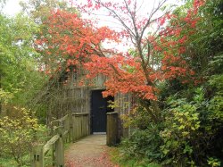 The boathouse at Winkworth, framed by autumn gold Wallpaper