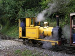 One of two trains which carry passengers around the Chalk Pits Museum at Amberley, West Sussex Wallpaper