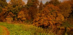 By the river in Autumn, Kingsbury Water Park, Warwickshire Wallpaper