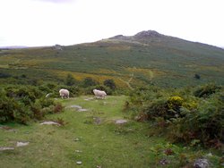 Dartmoor National Park, Devon Wallpaper