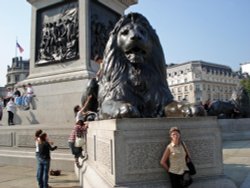 Trafalgar Square - Lion at Work Wallpaper