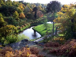 Bradgate Park, Leicester, Leicestershire Wallpaper