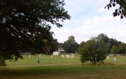 Cricket at Clumber Country Park, Worksop, Nottinghamshire Wallpaper