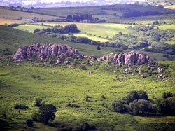 Dartmoor National Park, Devon Wallpaper