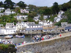 Polperro Harbour