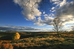 Autumn Sunset Above Sherbrook Valley