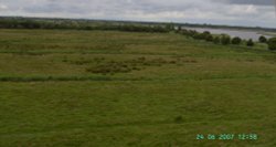 Horsey Drainage Mill Wallpaper