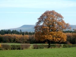 Pendle Hill Wallpaper