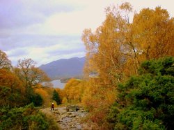 Lake District Wallpaper