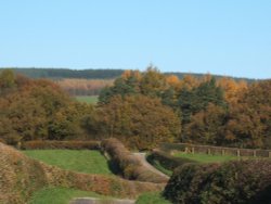 Longridge Fell from Hurst Green