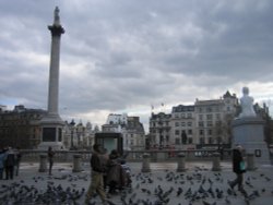 Trafalgar Square Wallpaper