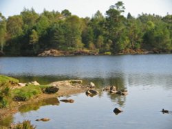 Tarn Hows, Coniston, Cumbria Wallpaper