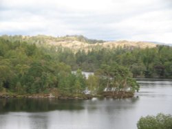 Tarn Hows, Coniston, Cumbria Wallpaper