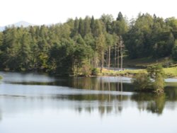 Tarn Hows, Coniston, Cumbria Wallpaper