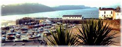 Tenby Harbor Wallpaper