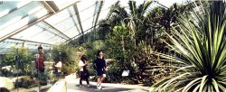 Princess of Wales Conservatory Wallpaper