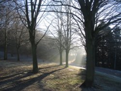 Winter Sunshine at Fairlands Valley Park Wallpaper