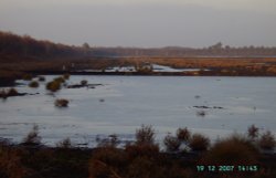 Nature Reserve-Hatfield Chase Wallpaper