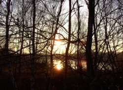 Hatfield Moor Nature Reserve Wallpaper