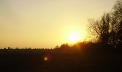 Hatfield Moor Nature Reserve Wallpaper