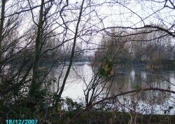 Hatfield Moor Nature Reserve Wallpaper