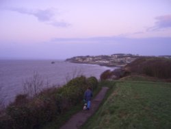 Poets Walk, Clevedon Wallpaper