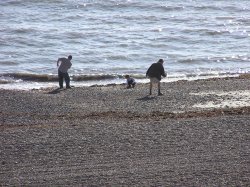 Worthing Beach, Skipping Stones Wallpaper