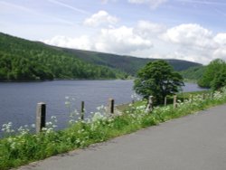 LadyBower Wallpaper