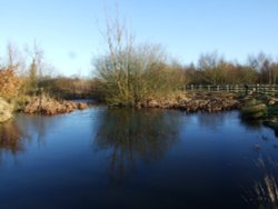 Fosse Meadows Wallpaper