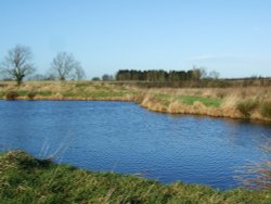 Small lake near Frolesworth Wallpaper