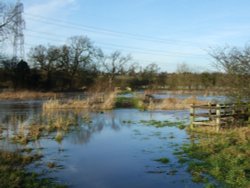 Rothley Brook Wallpaper