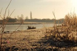 Wyken Slough Wallpaper